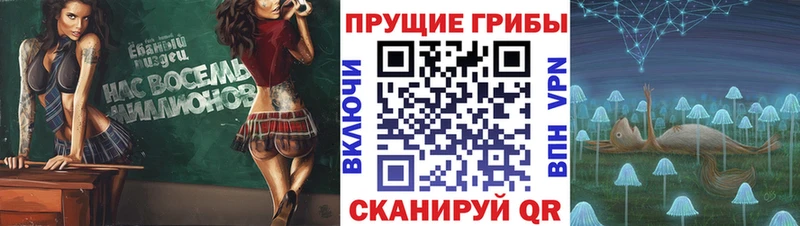 Псилоцибиновые грибы MAGIC MUSHROOMS Суоярви